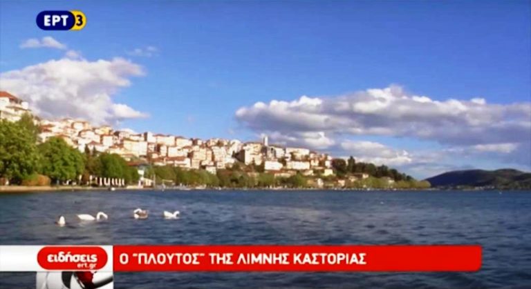 Ο «πλούτος » της λίμνης Καστοριάς (video)