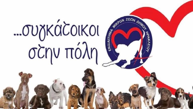 Στειρώσεις με εθελοντές κτηνιάτρους