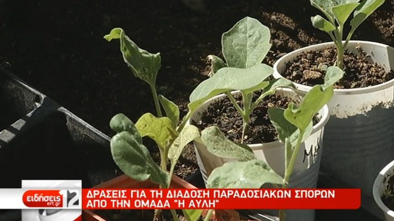 Δράσεις για τη διάδοση παραδοσιακών σπόρων (video)