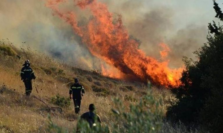 «Λαχτάρησαν» με την πυρκαγιά στην Αλφειούσα