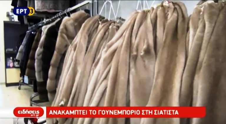 Ανακάμπτει η γουνοποιία στην Σιάτιστα (video)