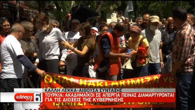 Σε απεργία πείνας Τούρκοι ακαδημαϊκοί για τις διώξεις (video)