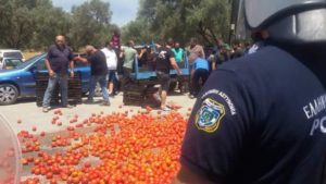 tsironis_tomatoes