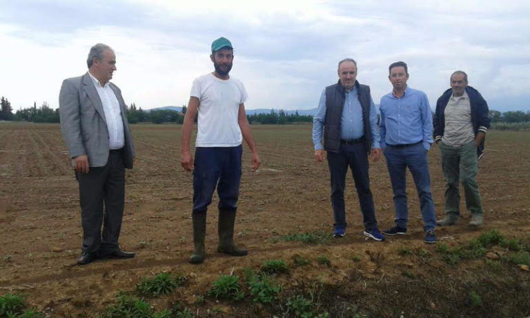 Κλιμάκιο της Περιφέρειας στις πληγείσες από τη χαλαζόπτωση περιοχές του Αλμυρού