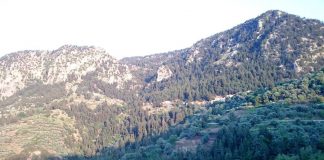 Χανιά: Έχασε τη ζωή της πέφτοντας σε χαράδρα