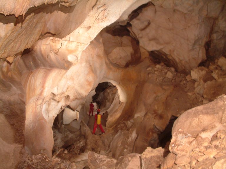 Ανακάλυψη νέων οργανισμών στο σπήλαιο Μελισσότρυπας Ελασσόνας