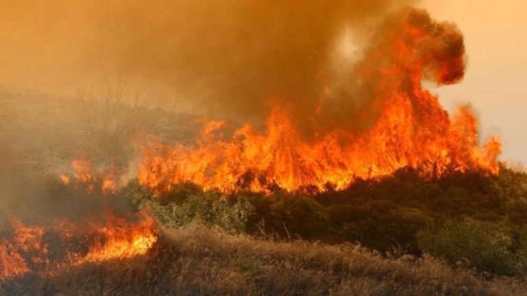 Υπό έλεγχο η πυρκαγιά στην περιοχή της Νέας Μάκρης