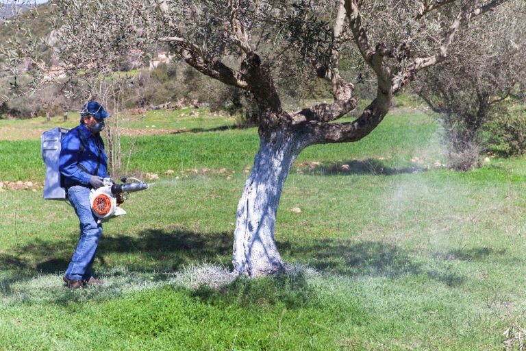 Ευρ. Κουκιαδάκης: ΣΟΣ για τη φετινή δακοκτονία