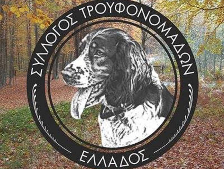 Νυμφαίο: Συλλογή άγριας τρούφας και άγριων μανιταριών