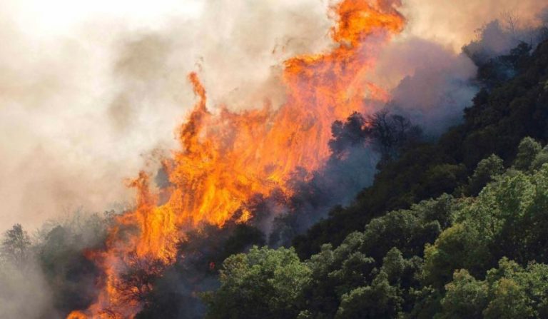 Κινητοποίηση Πυροσβεστικής για πυρκαγιά πάνω από τη Μακρινίτσα