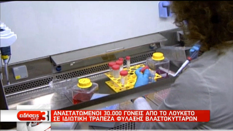 «Λουκέτο» στη Stem-Health Hellas – Στον «αέρα» τα βλαστοκύτταρα χιλιάδων παιδιών (video)