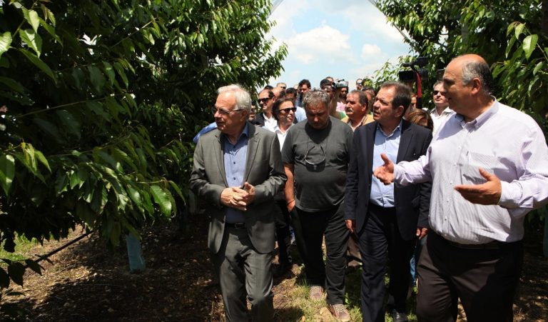 Παραχώρηση 1.000 στρεμμάτων σε 100 νέους αγρότες για καλλιέργεια αρωματικών φυτών
