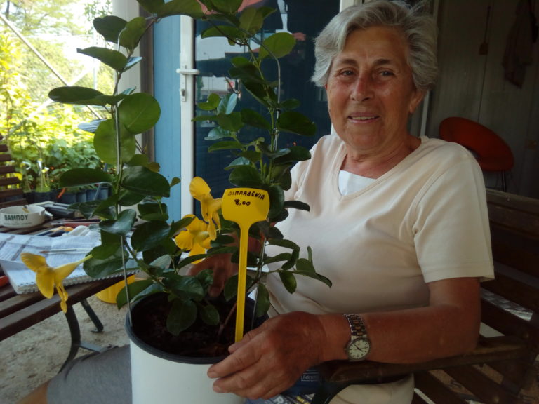 Κομοτηνή: Είκοσι χρόνια συντροφιά με τα άνθη