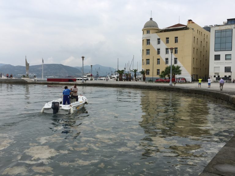 Βόλος: Καθαρισμός του λιμένα από το φυτοπλαγκτόν