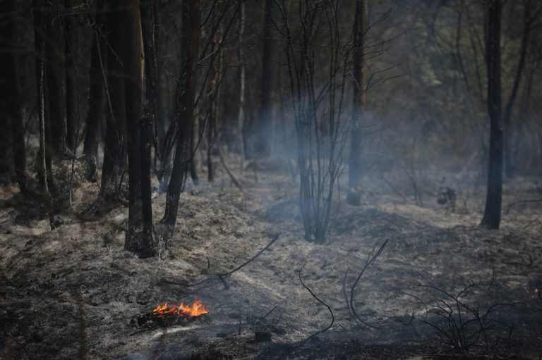 Δραματική η κατάσταση στην Πορτογαλία (photo gallery-video)