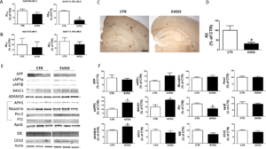 acn3431-fig-0002