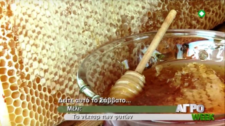 «ΑΓΡΟweek»: Μέλι, το νέκταρ των φυτών (trailer)