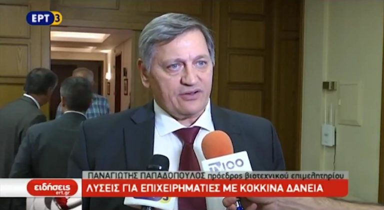Λύσεις για επιχειρηματίες με κόκκινα δάνεια (video)