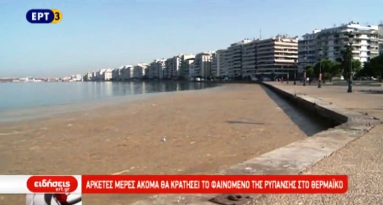 Επιμένει η ερυθρά παλίρροια στην Θεσσαλονίκη (video)