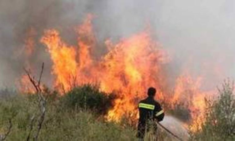 Οι μάχες με τις φλόγες – Υψηλός ο κίνδυνος για την Πέμπτη (video)