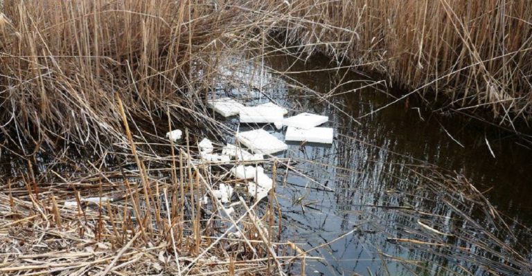 Εκδήλωση για τον υγροβιότοπο του Κολοβρέχτη στην νέα Αρτάκη