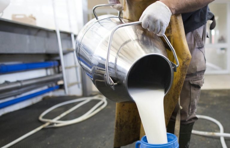 Έρευνα: Το μη αγελαδινό γάλα δεν βοηθά τα παιδιά να ψηλώσουν