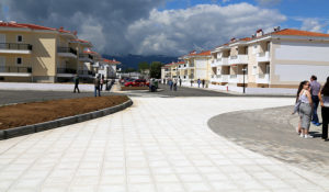 oaedergkatik-003