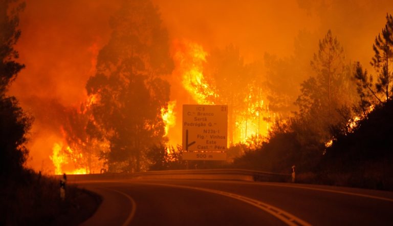 Πορτογαλία: Νεκροί και τραυματίες από δασική πυρκαγιά (video)