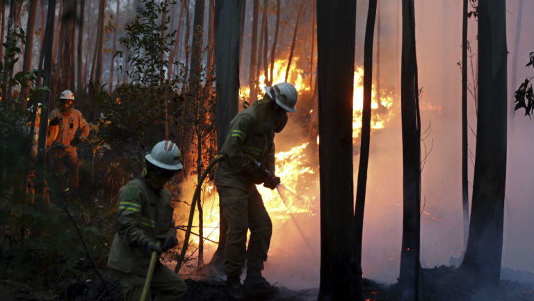 Δέκα τραυματίες σε νέες πυρκαγιές στην Πορτογαλία