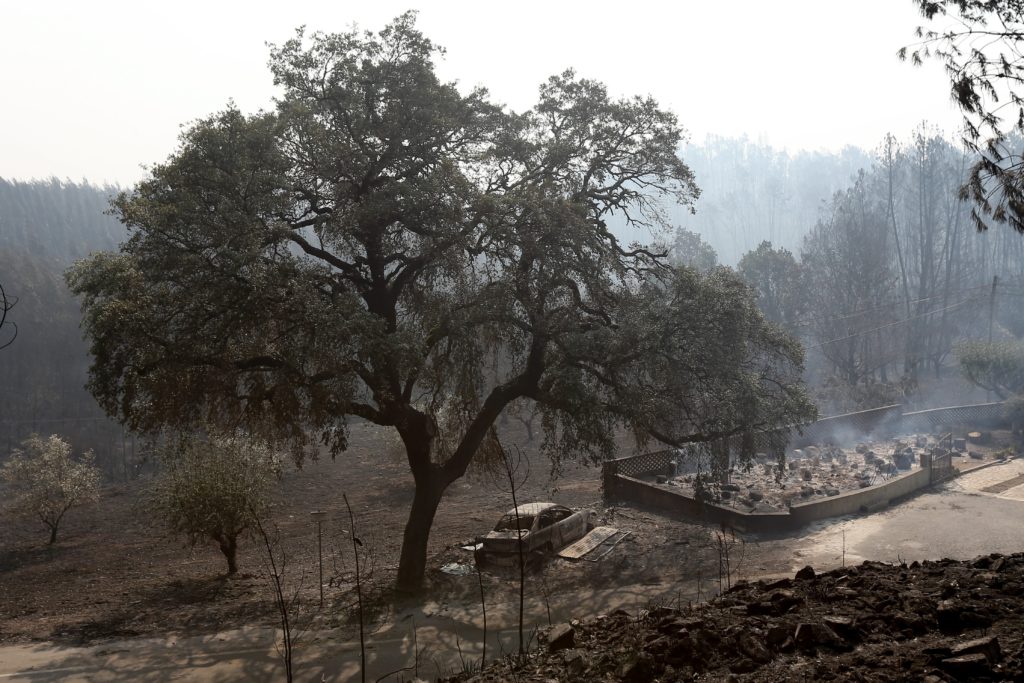 Forest fire in Pedrogao Grande, Portugal