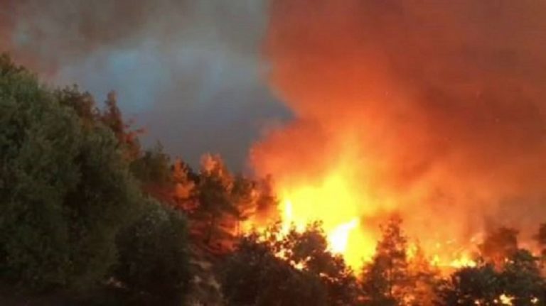 Σουφλί: Πυρκαγιά σε αγροτοδασική έκταση στην Λευκίμη
