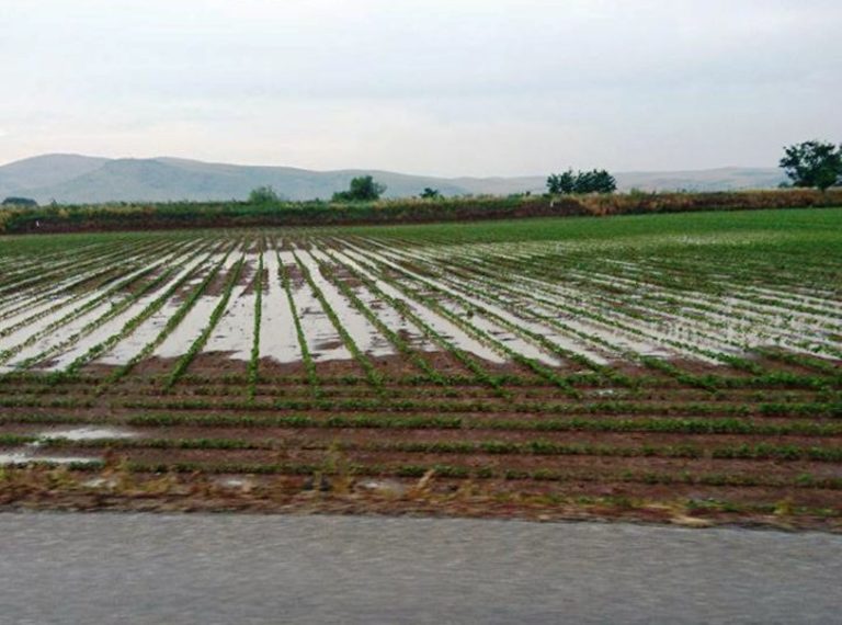 Ζάκυνθος: Έλεγχοι – δηλώσεις για αποζημιώσεις αγροτών