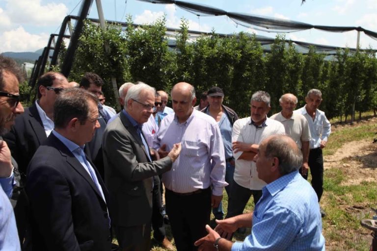 Εορδαία: Εντός του 2017 οι αποζημιώσεις του ΕΛ ΓΑ  