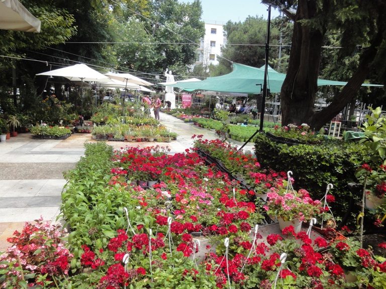 Ολοκληρώθηκε η Ανθοκομική Έκθεση του Δήμου Σερρών