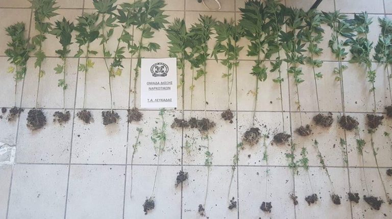 Λευκάδα: Συνελήφθη για καλλιέργεια κάνναβης