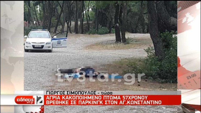 Φθιώτιδα: Βρέθηκε άγρια κακοποιημένο πτώμα 57χρονου (video)