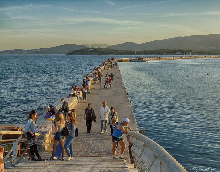 Βόλος: Νεκρός σκύλος στη θάλασσα προκάλεσε αναστάτωση