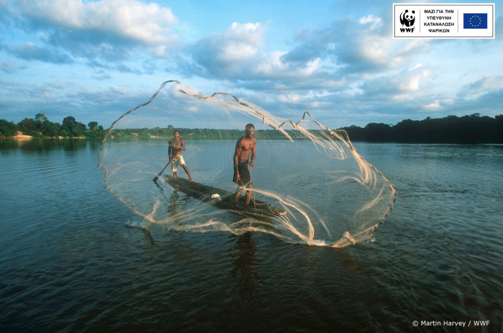 WWF: Eισαγόμενο το 66% των ψαρικών που καταναλώνουν οι Έλληνες