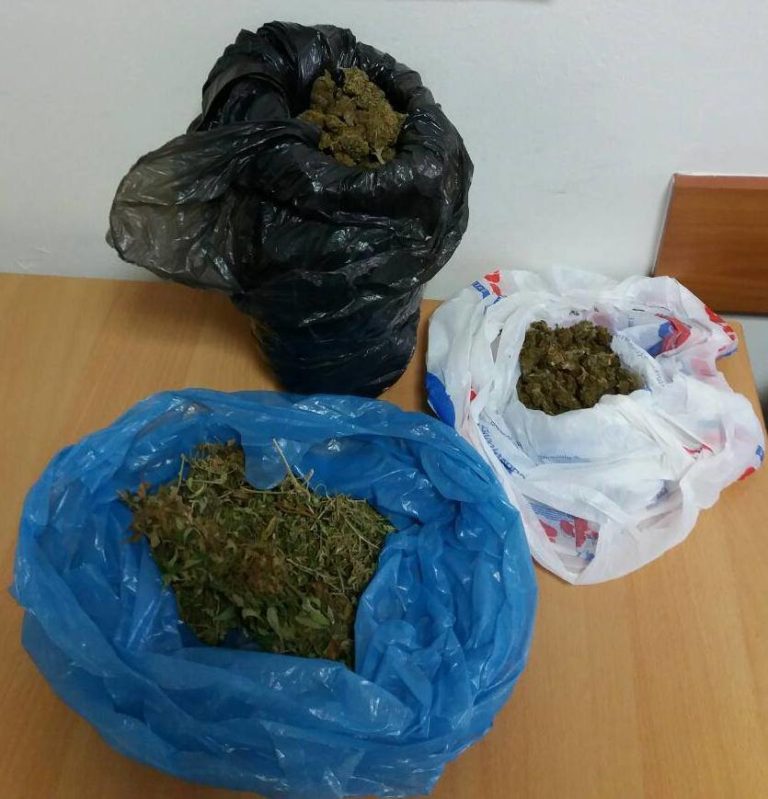Καλλιεργούσε στο σπίτι του 55 δενδρύλλια κάνναβης