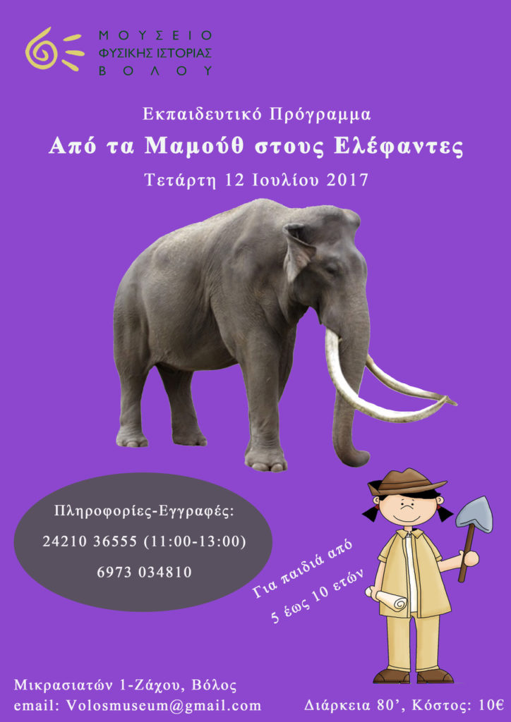 Εκπαιδευτικό Πρόγραμμα “Από τα Μαμούθ στους Ελέφαντες”