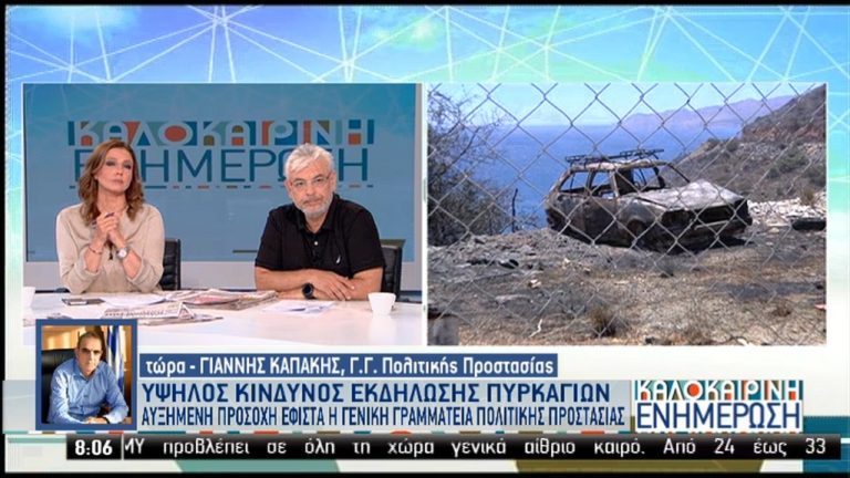 Γ.Γ. Πολιτικής Προστασίας: Πού υπάρχει υψηλός κίνδυνος για πυρκαγιές σήμερα (video)