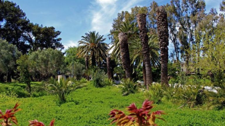 Ανοίγει πύλες την Παρασκευή το «Amari Green Festival»