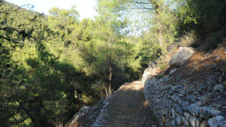 Ένας ξεχωριστός περίπατος στα «Μονοπάτια Πολιτισμού» στην Επίδαυρο