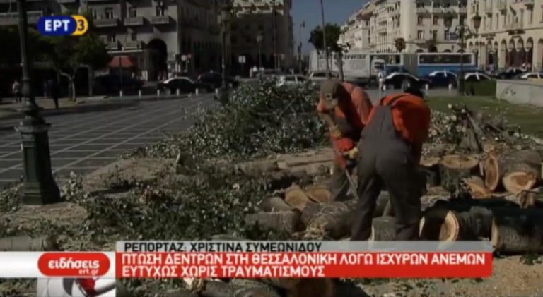 Πτώση δέντρων στη Θεσσαλονίκη λόγω ανέμων (video)