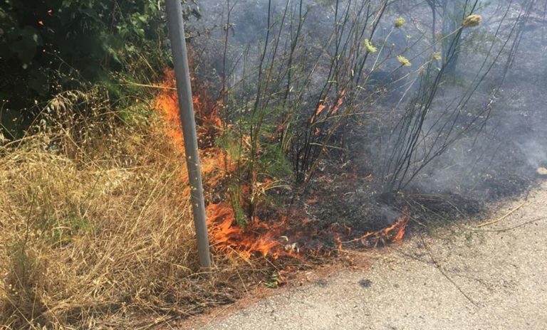 Έσβησε η φωτιά στην περιφερειακή οδό της Θεσσαλονίκης