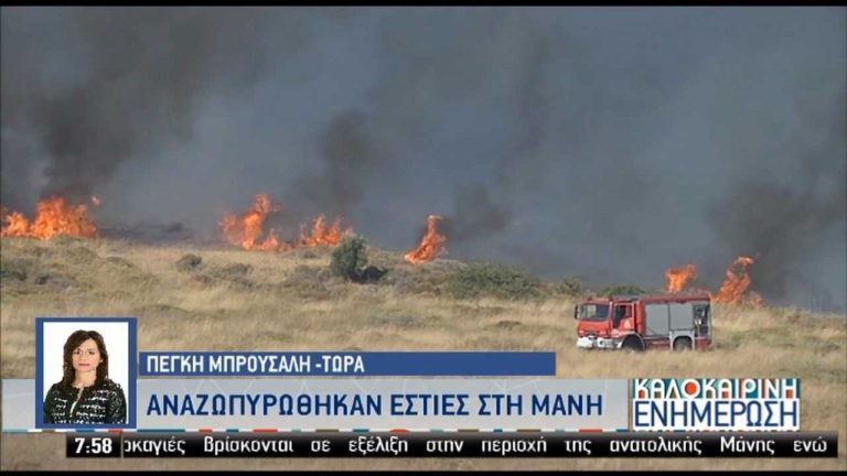 Μάχη με τις φλόγες στην ανατολική Μάνη (video)