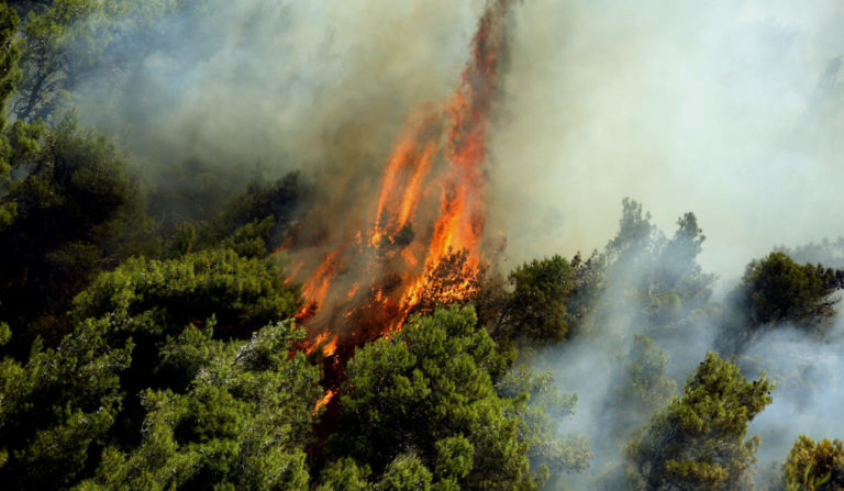 Σε ύφεση η πυρκαγιά στην Κέρκυρα, Ιωάννινα και Θεσπρωτία (video)