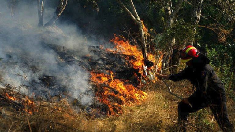 Ζάκυνθος: Σε ύφεση η πυρκαγιά στον «Άγιο Ανδρέα» Βολιμών