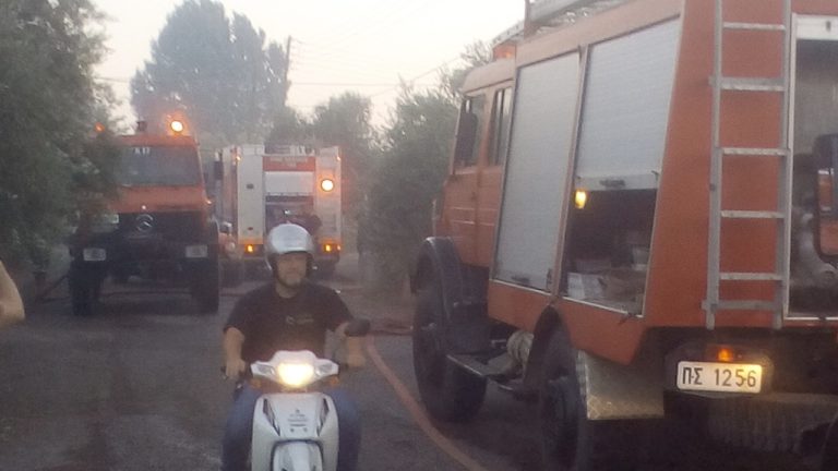 Γ. Πετρούτσος: «Δε μας έγινε μάθημα το 2007…»