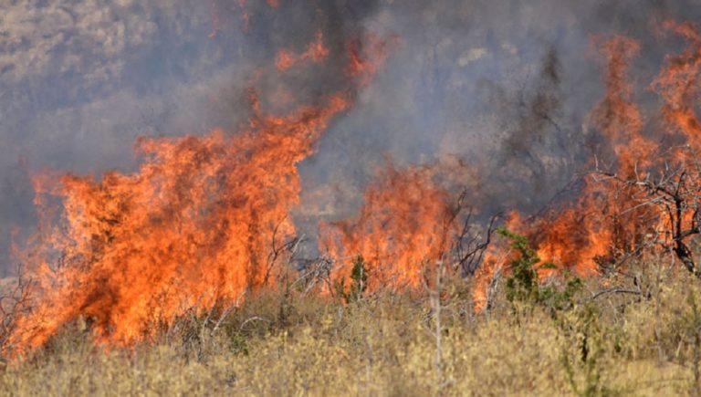 Φωτιά σε ξερά χόρτα μεταξύ Λιμνότοπου – Αξιοχωρίου και Άσπρου